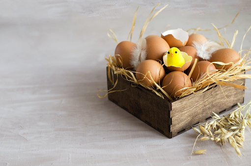 The concept of an Easter background. Natural brown chicken eggs lie in a wooden box on a hay on a light concrete background, in the shell sits a chicken. Happy Easter, copying space, flat layout