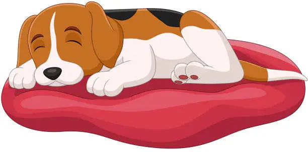 Vector illustration of Cute dog cartoon sleep on the pillow