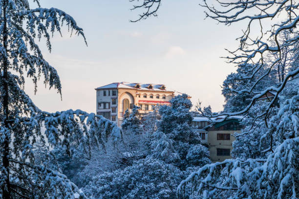 istock Latest views of Snowfall in Shimla 1302220278