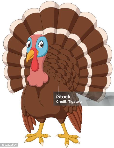 Cartoon Turkey On White Background Stock Illustration - Download Image Now  - Turkey Meat, Cartoon, Chicken - Bird - iStock
