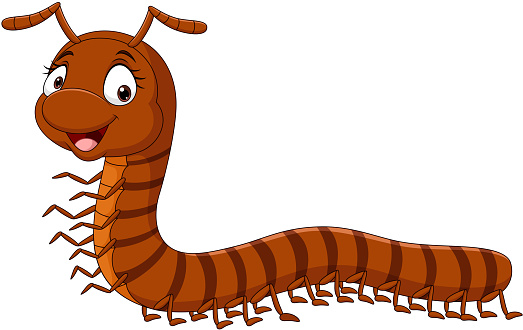 Vector illustration of Cartoon funny millipede on white background