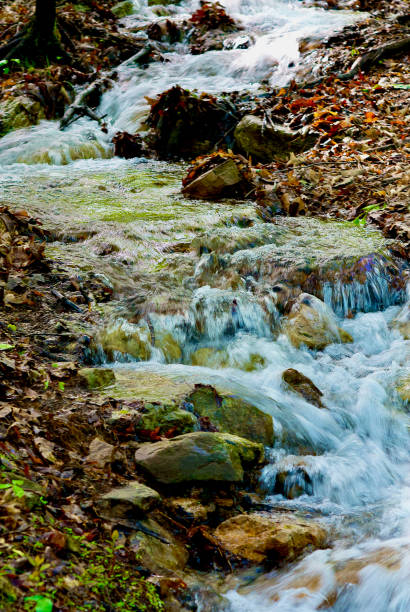 Close-up, Small Forest Stream Runs Fast Close-up of a fast-running, small stream of cold water cascading down the forest floor in Spring. morgan county stock pictures, royalty-free photos & images