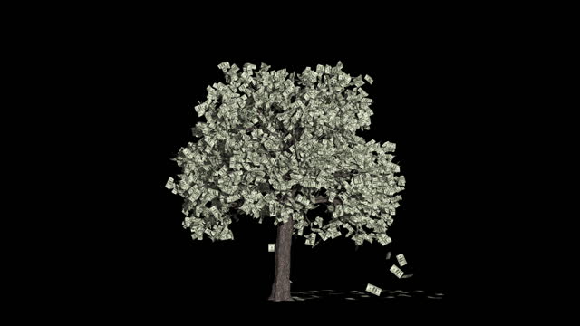 Dollar Currency Tree Timelapse Growing With Leaves Falling, Business Concept