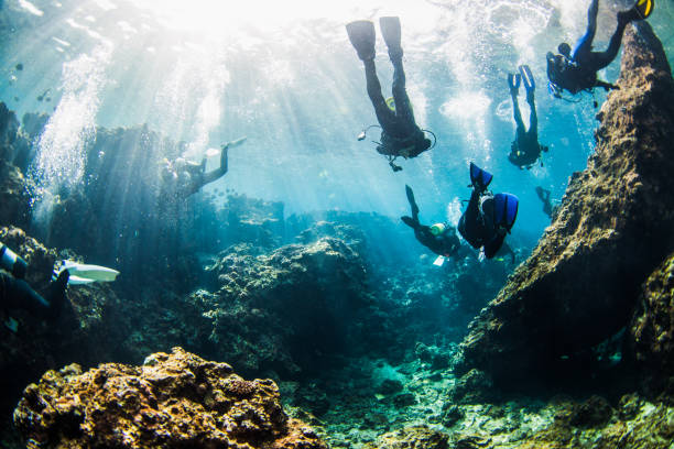 Underwater Scuba divers at famous Maeda point in Okinawa