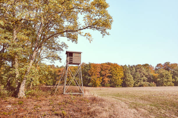 istock Hunting tower in autumn, color toning applied. 1302225180