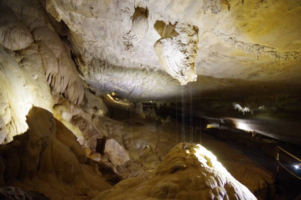 istock Langs cave in Gunung Mulu National Park 1302226555
