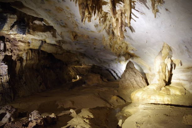 istock Langs cave in Gunung Mulu National Park 1302226627