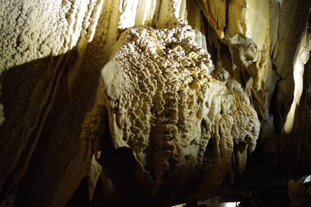 istock Langs cave in Gunung Mulu National Park 1302226642