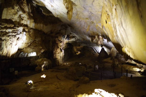 istock Langs cave in Gunung Mulu National Park 1302226674