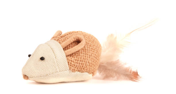 Artificial mouse brown beige pet toy for cats isolated on white background