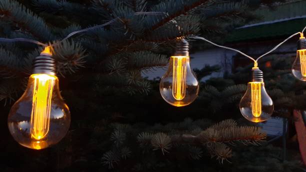 istock Decorative lighting of the personal plot. Edison bulbs hang on the tree 1302227925