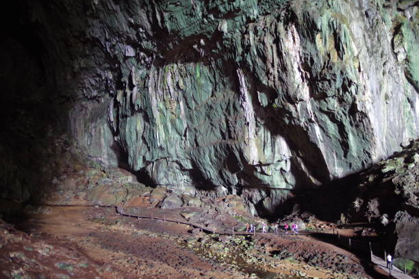 istock Deer cave in Gunung Mulu National Park 1302228160
