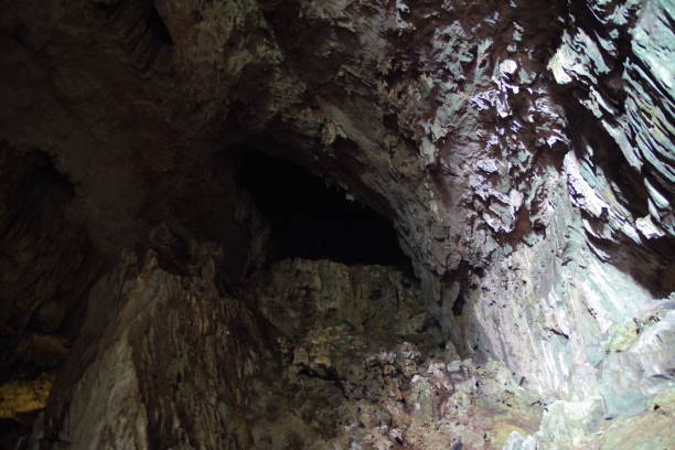 istock Deer cave in Gunung Mulu National Park 1302228293