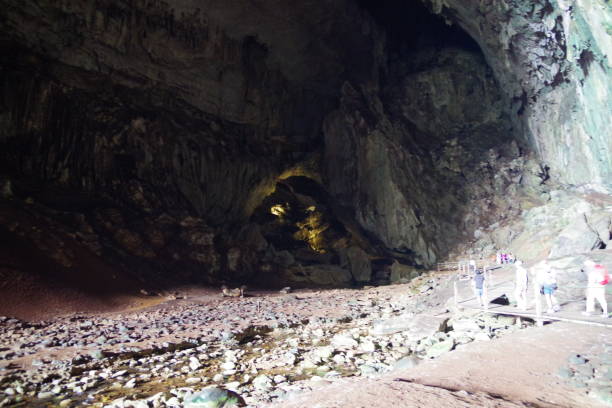 istock Deer cave in Gunung Mulu National Park 1302228320