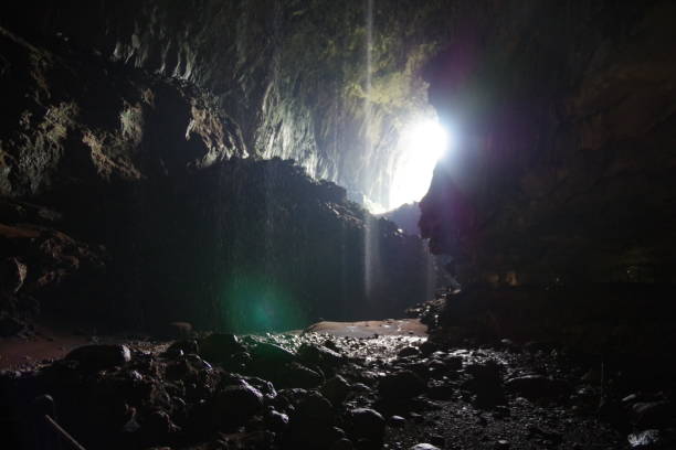 istock Deer cave in Gunung Mulu National Park 1302228368