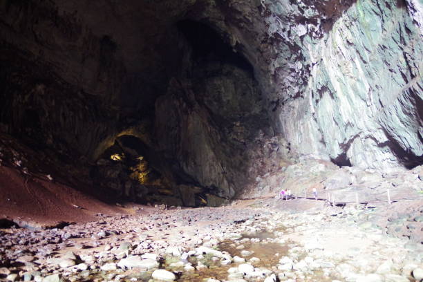 istock Deer cave in Gunung Mulu National Park 1302228378