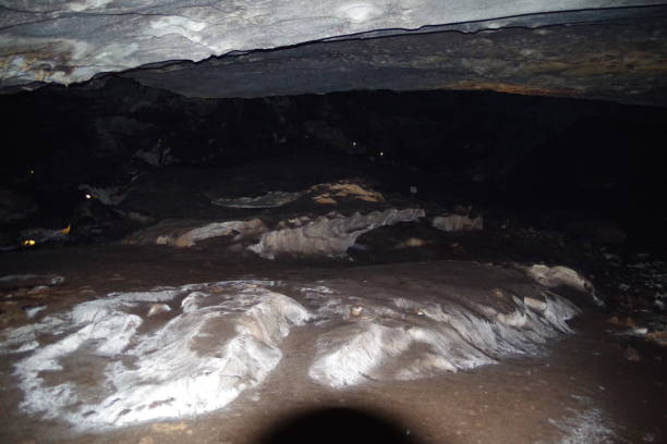 istock Deer cave in Gunung Mulu National Park 1302229147