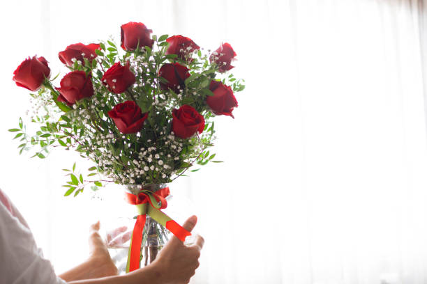 Hands holding red rose