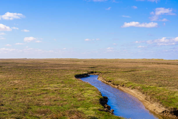 istock River through the salt marshes 1302231056