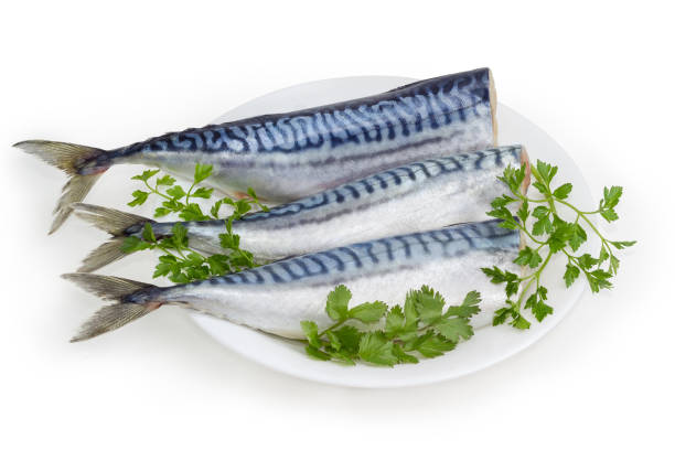 istock Pickled mackerel without heads with fresh greens on dish 1302238725