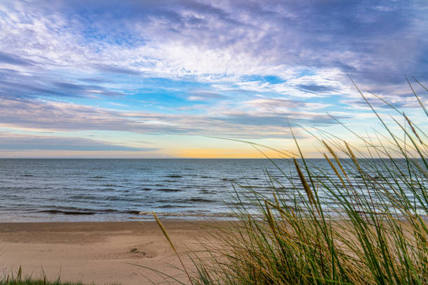 istock Baltic Sea with seaweed and beach 1302247195