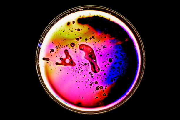 istock Petri dish with droplets and bubbles infrared with light 1302251892