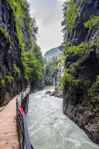 istock Glacier gorge in Swiss Alps 1302253809