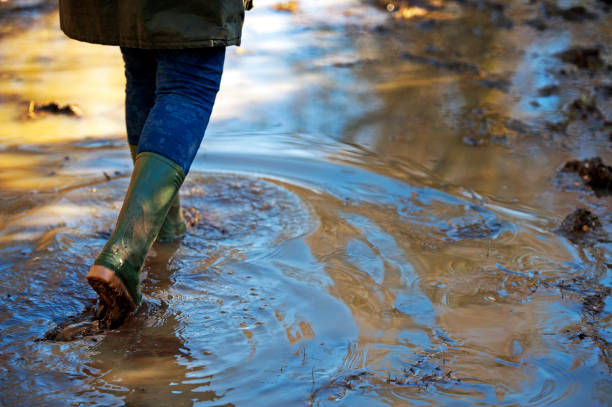 walking through a winter scene in february, england - wading imagens e fotografias de stock