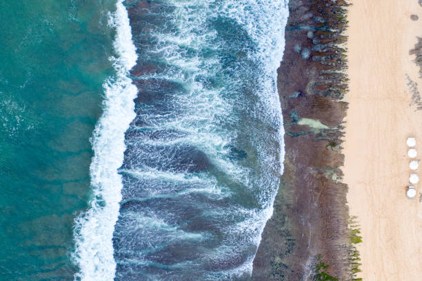 istock Beach umbrellas and blue ocean. Beach scene from above 1302256013