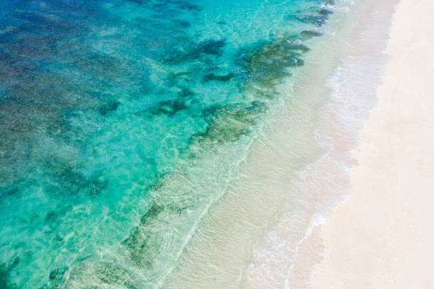 istock Beach scene from above - blue ocean waves hitting a sandy beach. 1302256015
