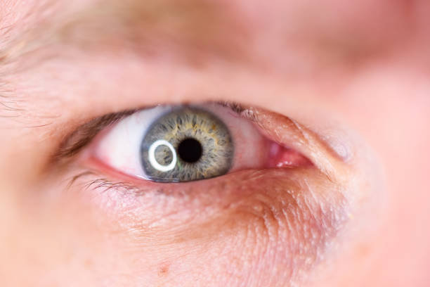 human blue eye, macro photo. view precise and straight to the target. concept of concentrate vision