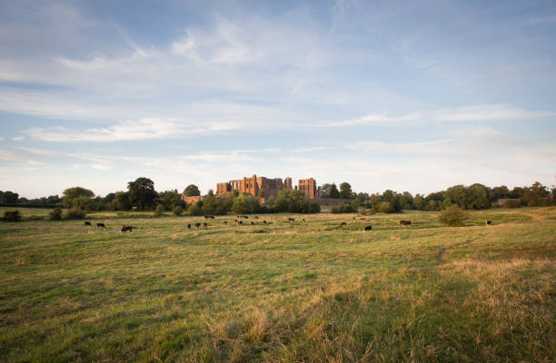 Panoramic of Kenilworth Castle at sunset Beautiful old English Castle in Warwickshire glowing golden beneath a big sky kenilworth castle stock pictures, royalty-free photos & images