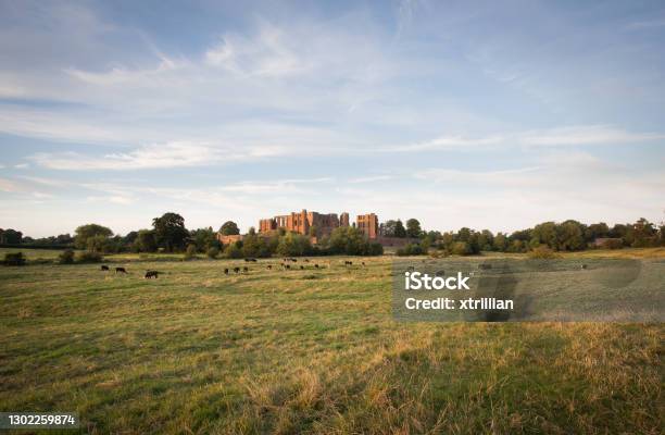 Panoramic Of Kenilworth Castle At Sunset Stock Photo - Download Image Now - Kenilworth Castle, Agricultural Field, Castle