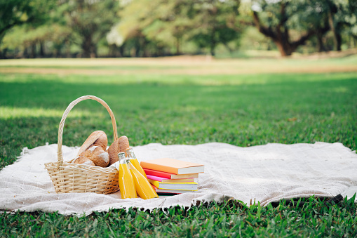 picnic bread  basket with book and orange juice in garden