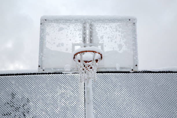 Frozen rain on the basket net