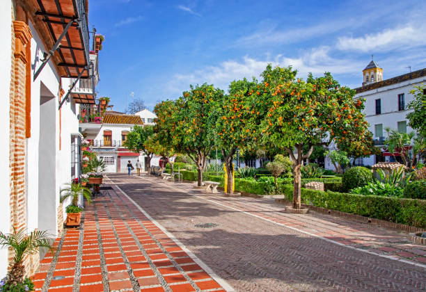 Plaza de los Naranjos, Marbella, Spain. Square with orange trees in Spain. View of beautiful orange trees in Marbella, blue sky in the background. Orange trees in the city. Plaza de los Naranjos, Marbella, Spain. town square stock pictures, royalty-free photos & images