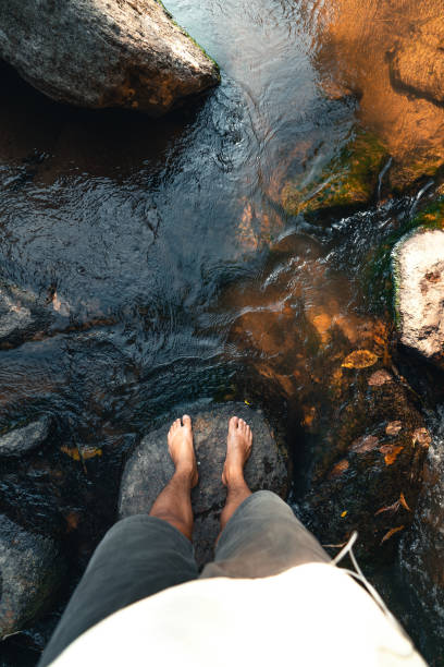 istock Feet in clear water in the forest 1302267026