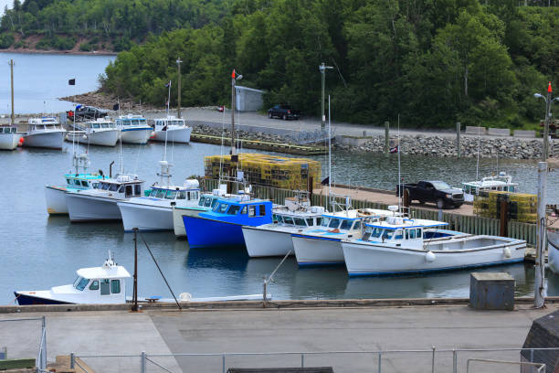 istock Fishing boats at a marina 1302267391
