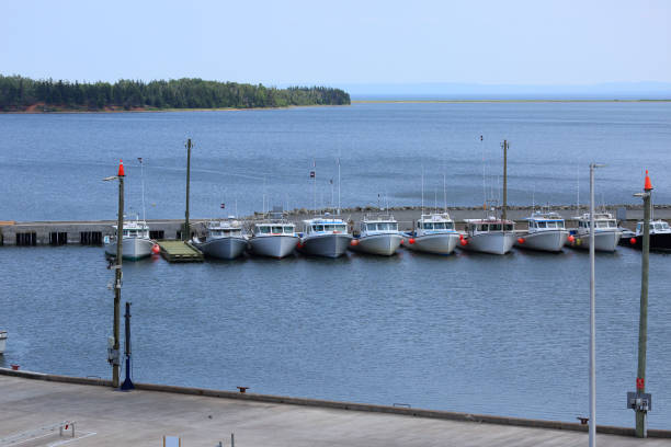 istock Fishing boats at a marina 1302267394