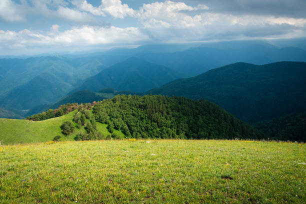 istock alpine meadow with bright green grass illuminated by the sun 1302268849