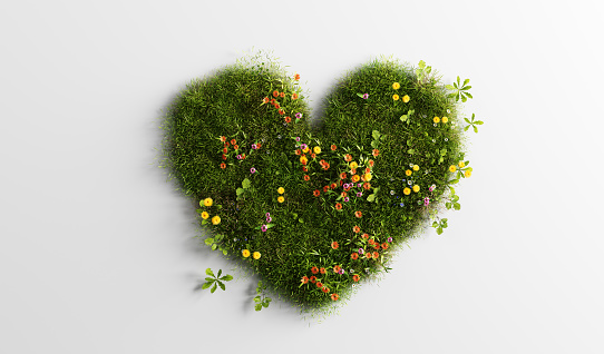 Green grass with spring summer flowers in heart shape. Concepts of love, Valentine's day, eco environment. 3D illustration