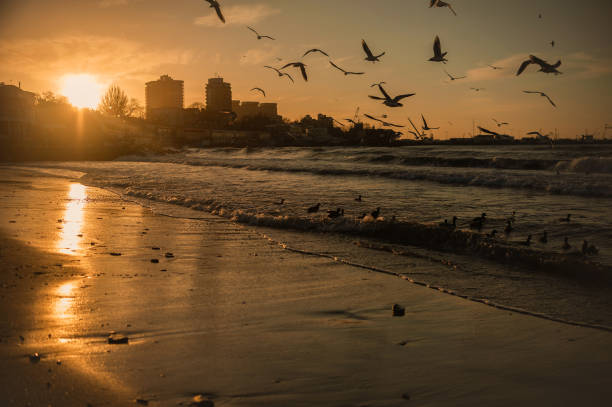 istock seascape during the golden hour 1302273784