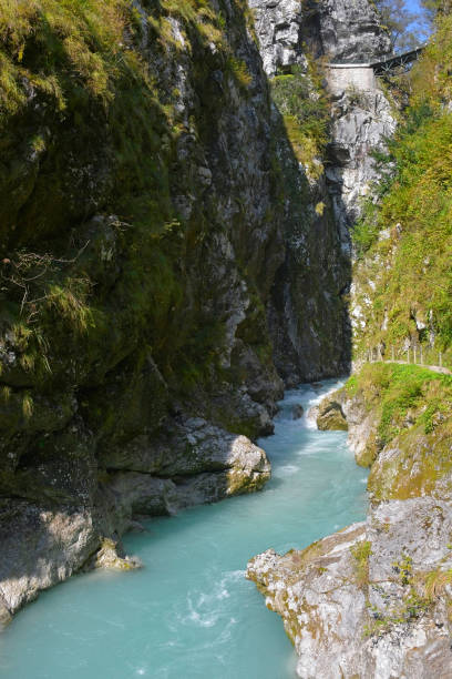 wąwóz tolmin w słowenii - footpath european alps fence woods zdjęcia i obrazy z banku zdjęć