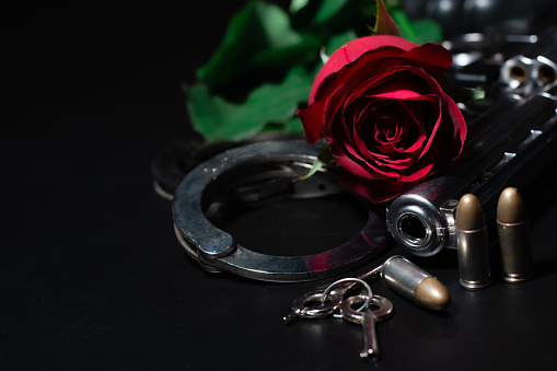 roses red and shackle on the dark background