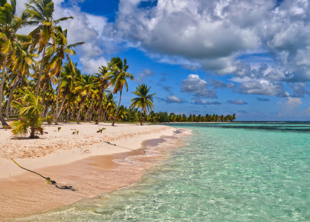 istock sunny beach saona island 1302276155