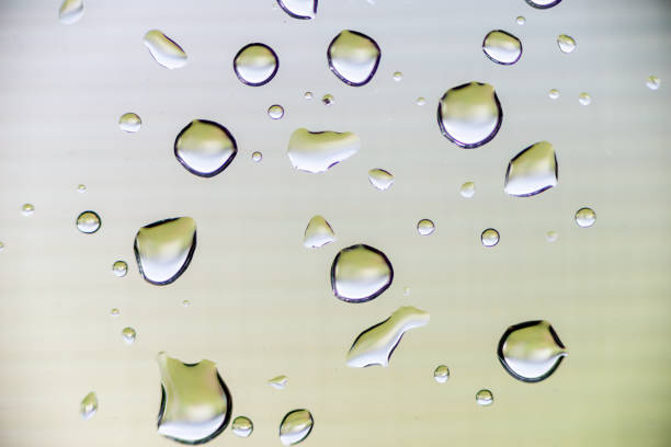 istock Detail of raindrops 1302281634