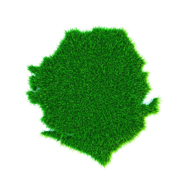 istock Grass map of Sierra leone, isolated on white 1302283243