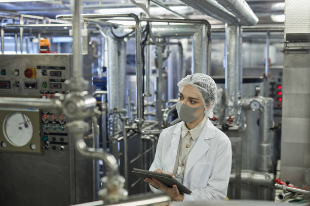 istock Quality Control at Food Factory 1302286536