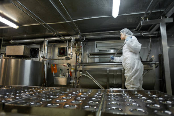 istock Food Factory Production 1302286615