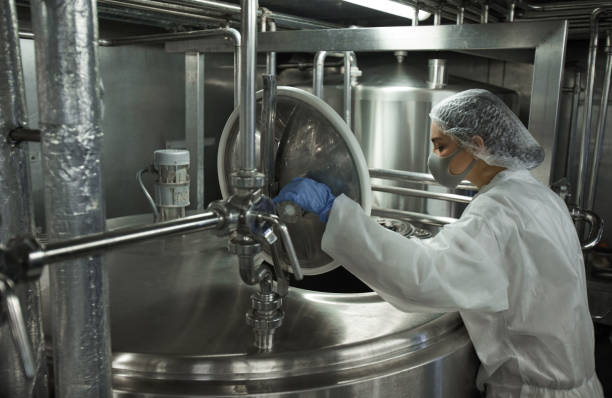 female worker controlling production at food factory - food hygiene imagens e fotografias de stock